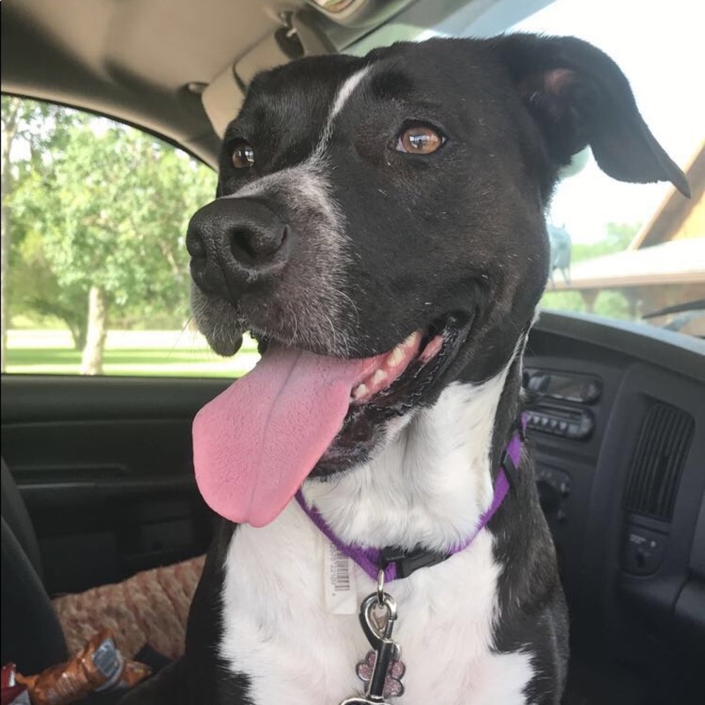 Meet your Posher, Katherine